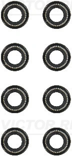 Seal Set, valve stem